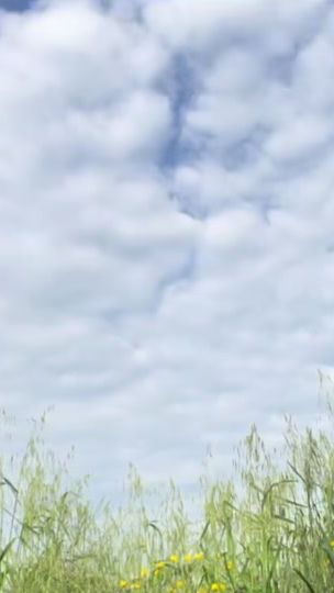 TikTok video thumbnail by prin_cess0969