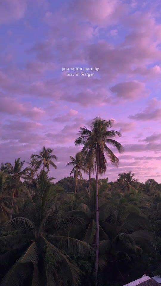 TikTok video thumbnail by leapandtrail