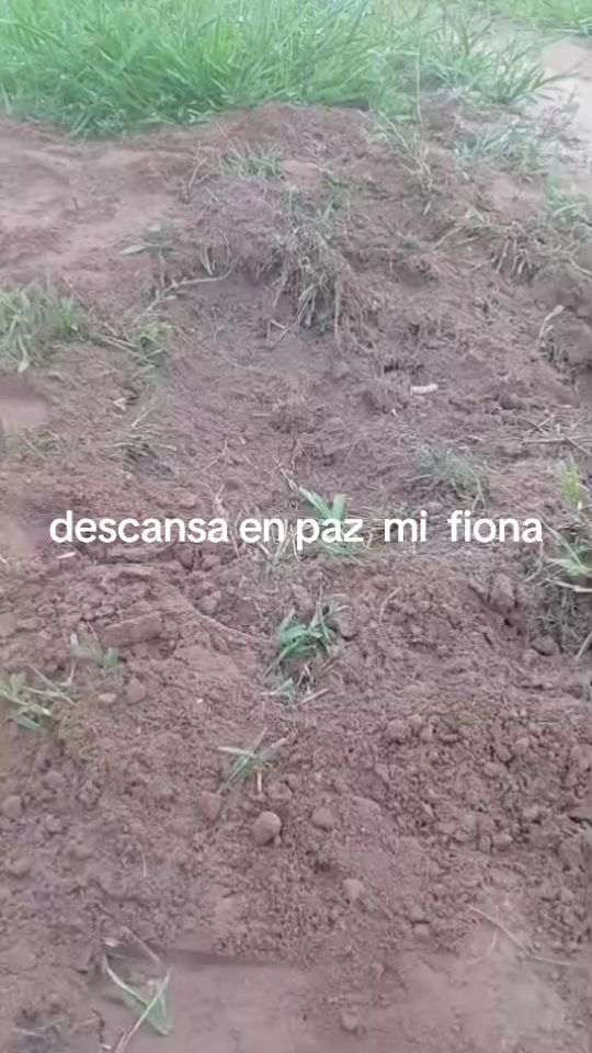 TikTok video thumbnail by pesocrak