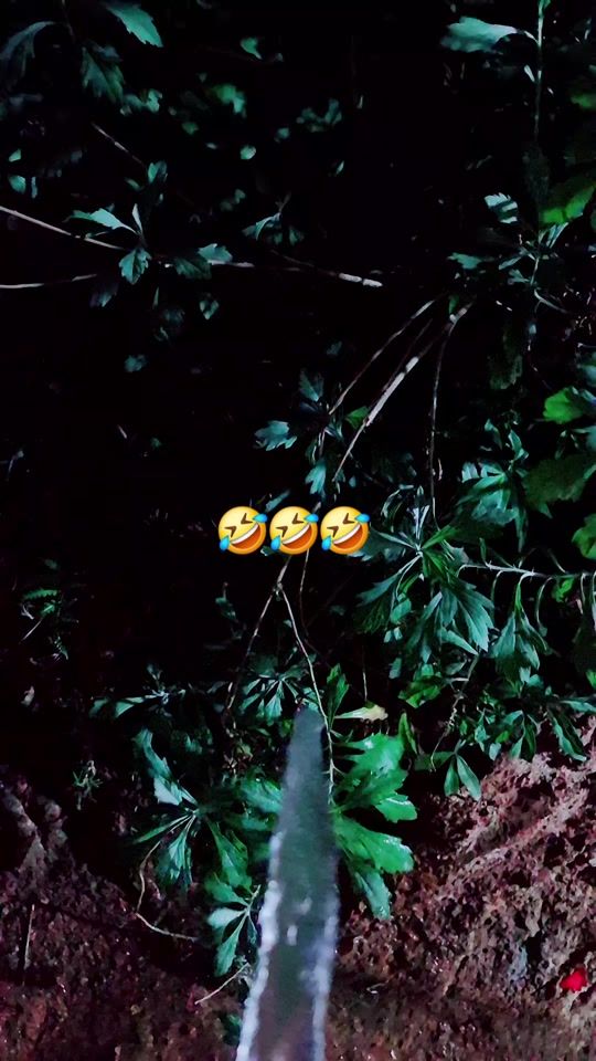 TikTok video thumbnail by wisin_jr
