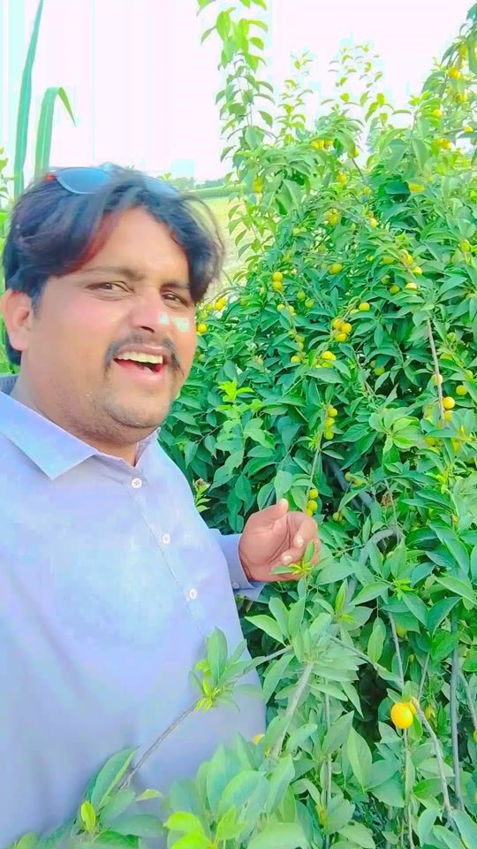 TikTok video thumbnail by atharfarooq01