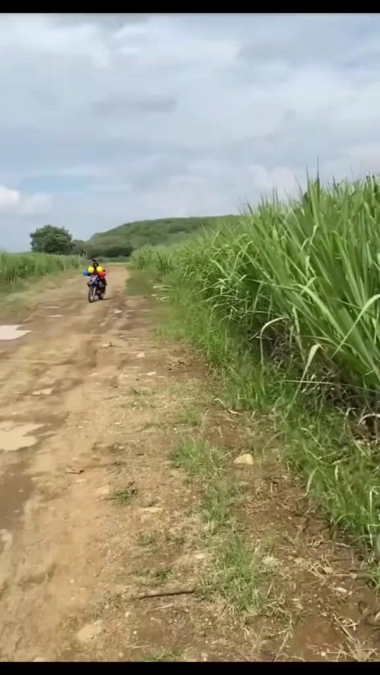 TikTok video thumbnail by siprianoficial