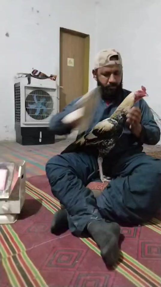 TikTok video thumbnail by razqbolani