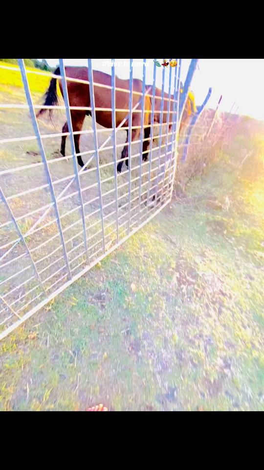 TikTok video thumbnail by useur_nmg