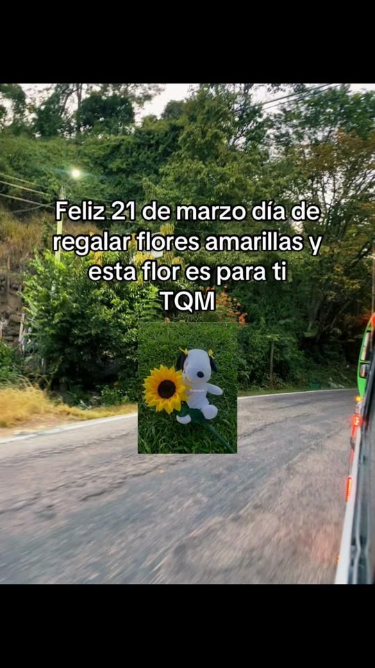 TikTok video thumbnail by soloo.017