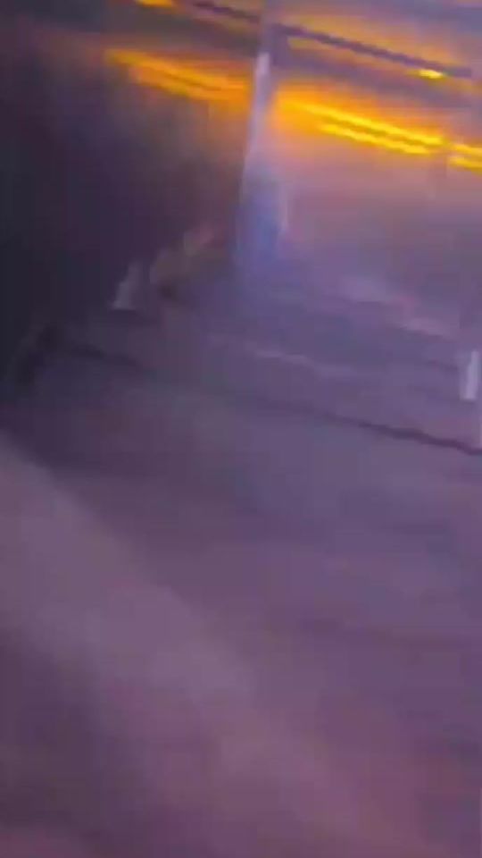 TikTok video thumbnail by bosfalos