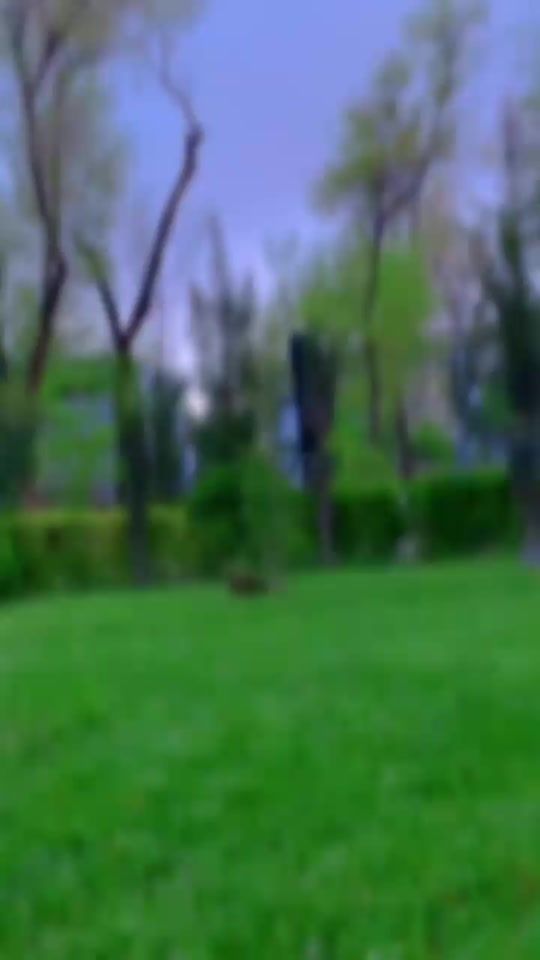 TikTok video thumbnail by afg7265