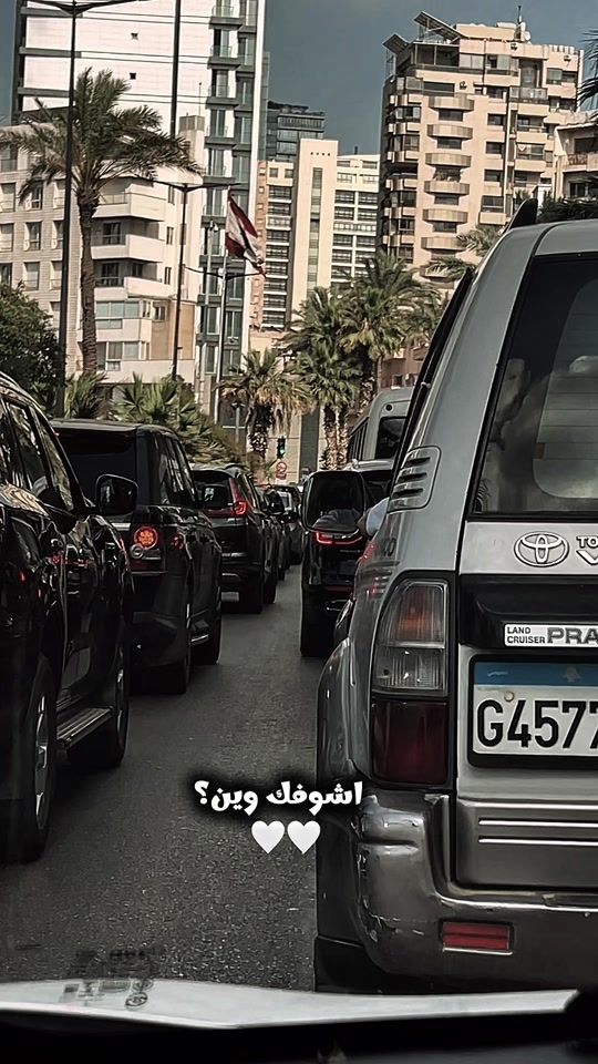 TikTok video thumbnail by zlm.5.0.5