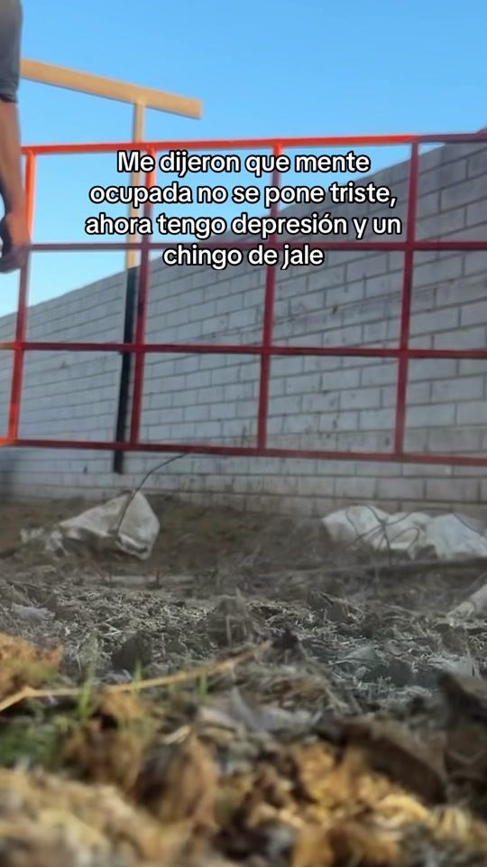 TikTok video thumbnail by isidrogmz
