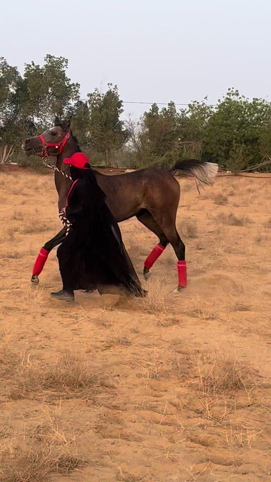 TikTok video thumbnail by km_1439