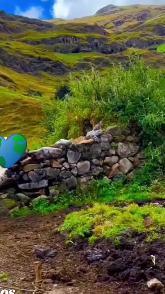 TikTok video thumbnail by wiliam4801