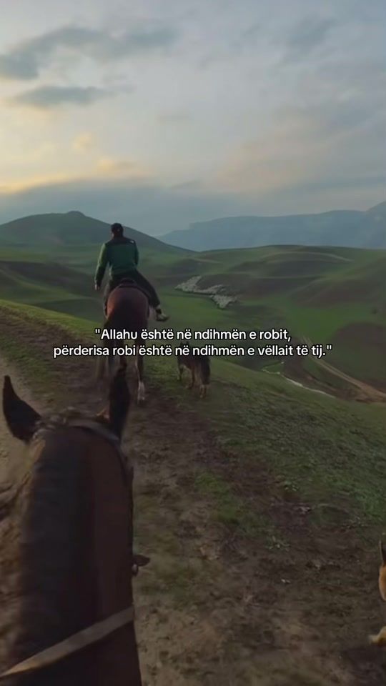 TikTok video thumbnail by ukht.es