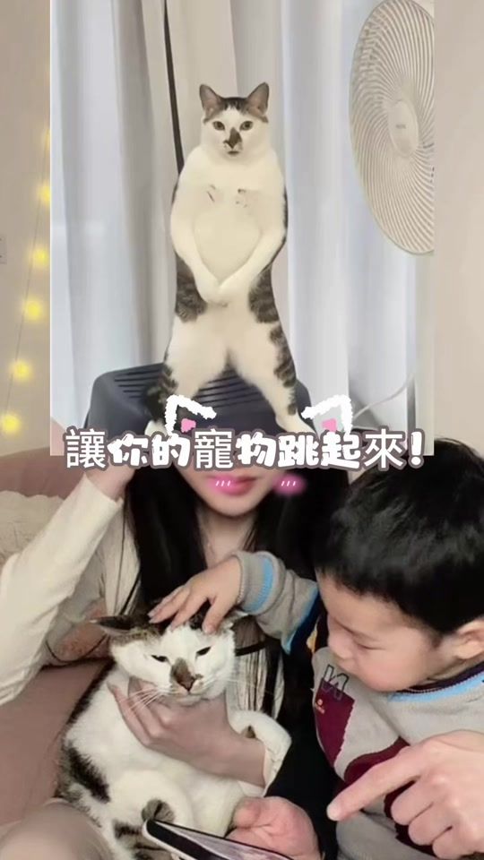 TikTok video thumbnail by weet5116