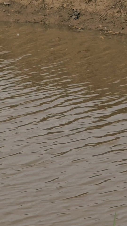 TikTok video thumbnail by sheenatakean6