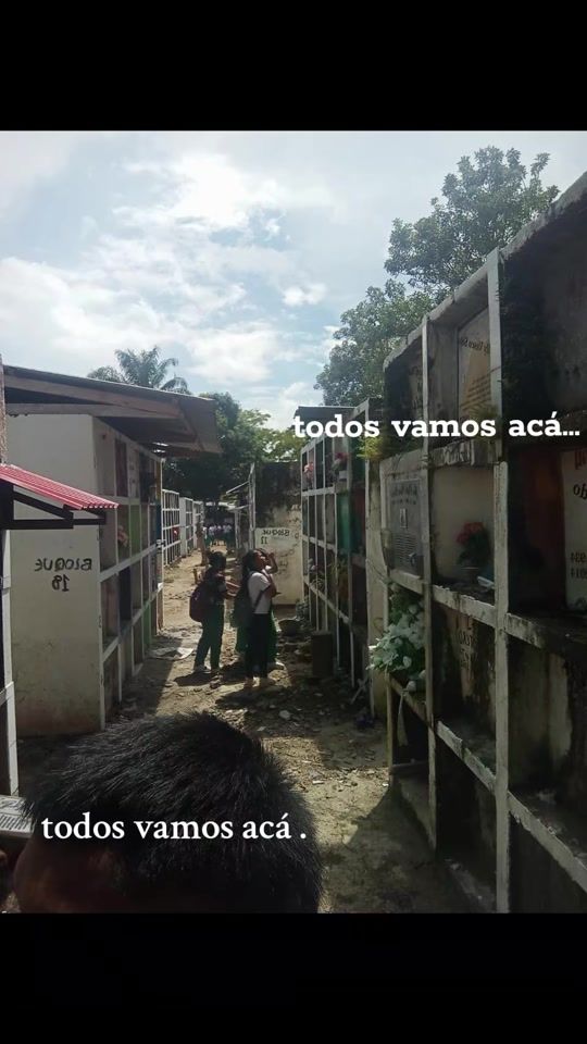TikTok video thumbnail by joselmiraval