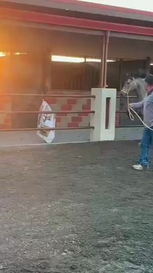 TikTok video thumbnail by erickraulbarrantesv