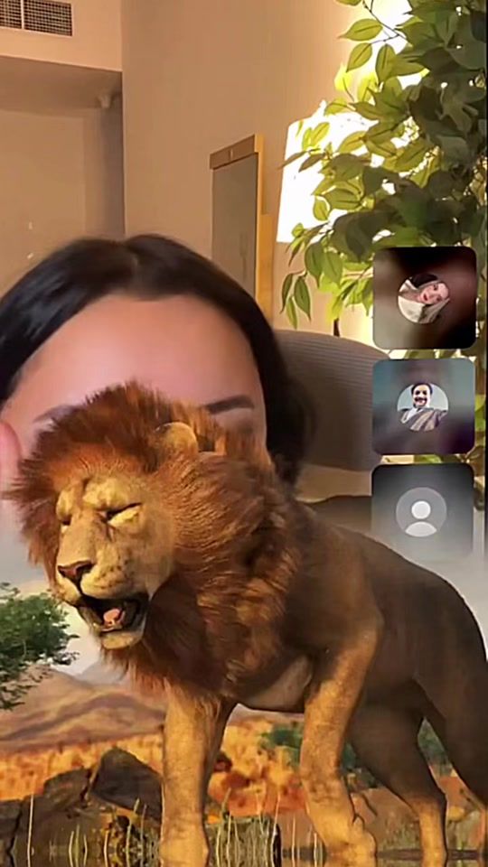 TikTok video thumbnail by aljadet