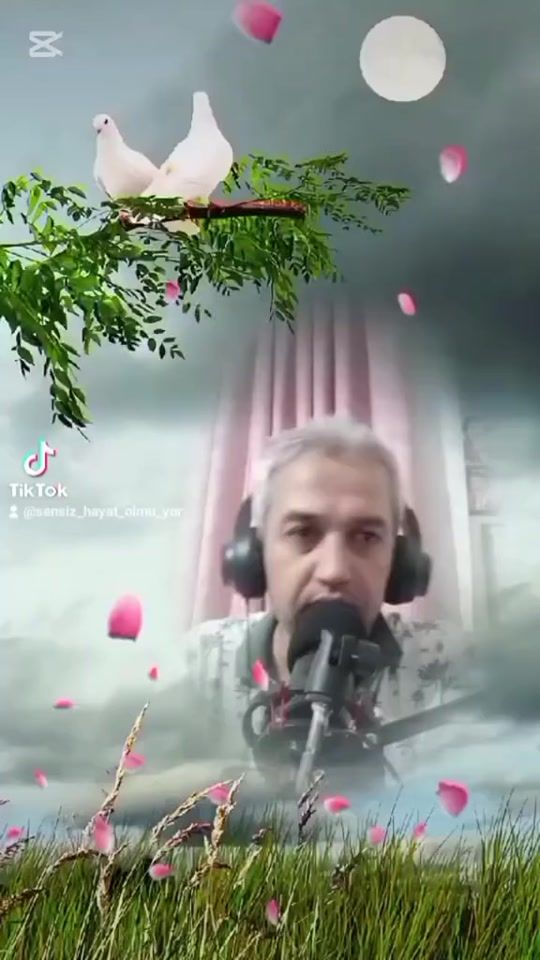 TikTok video thumbnail by _obirefsane_