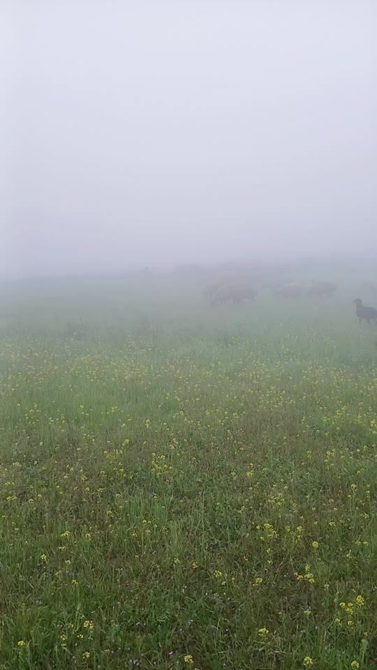 TikTok video thumbnail by ruzgar57_57