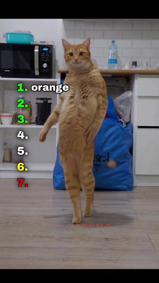 TikTok video thumbnail by zoo.sync