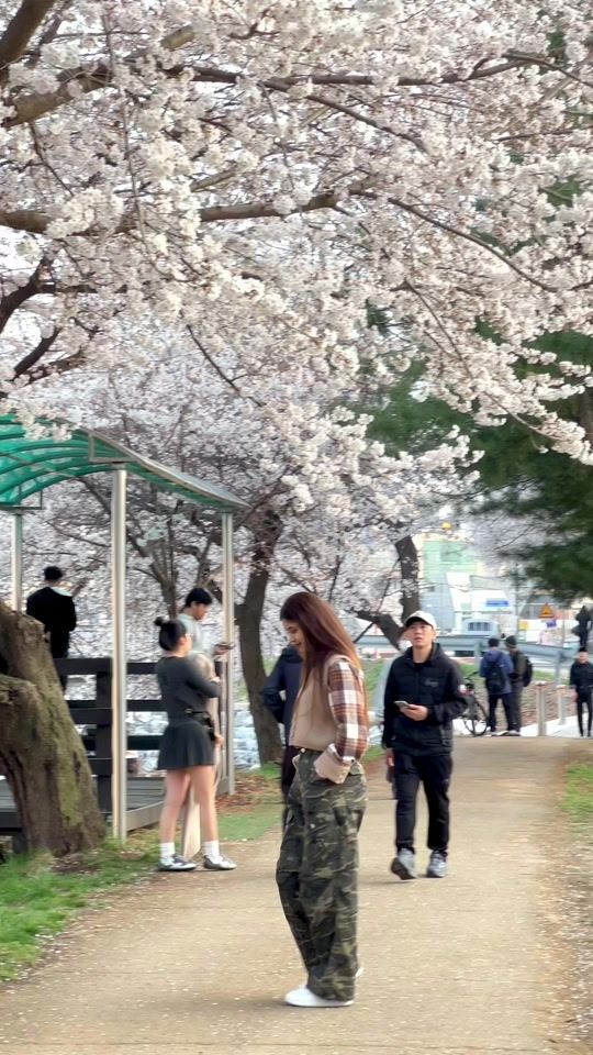 TikTok video thumbnail by sonamkshetri3