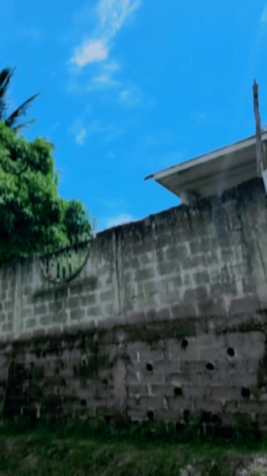 TikTok video thumbnail by wazone_tz