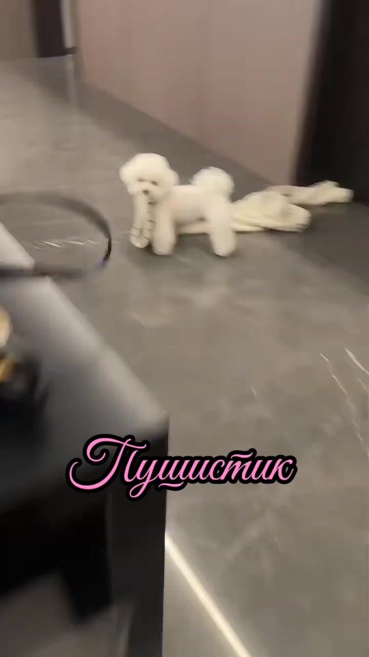 TikTok video thumbnail by tan4i014