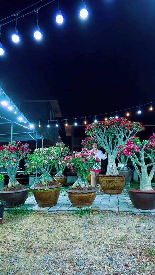 TikTok video thumbnail by oaoaoa1987