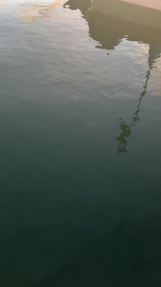 TikTok video thumbnail by nelss_233