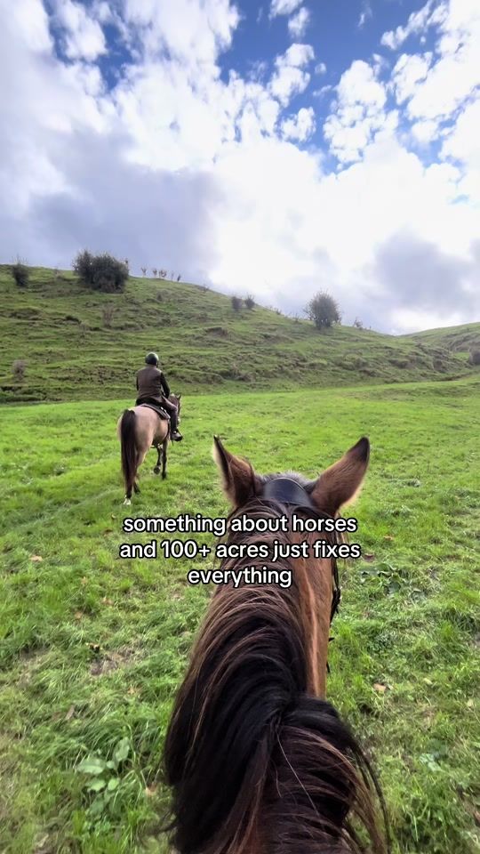 TikTok video thumbnail by ebequine_