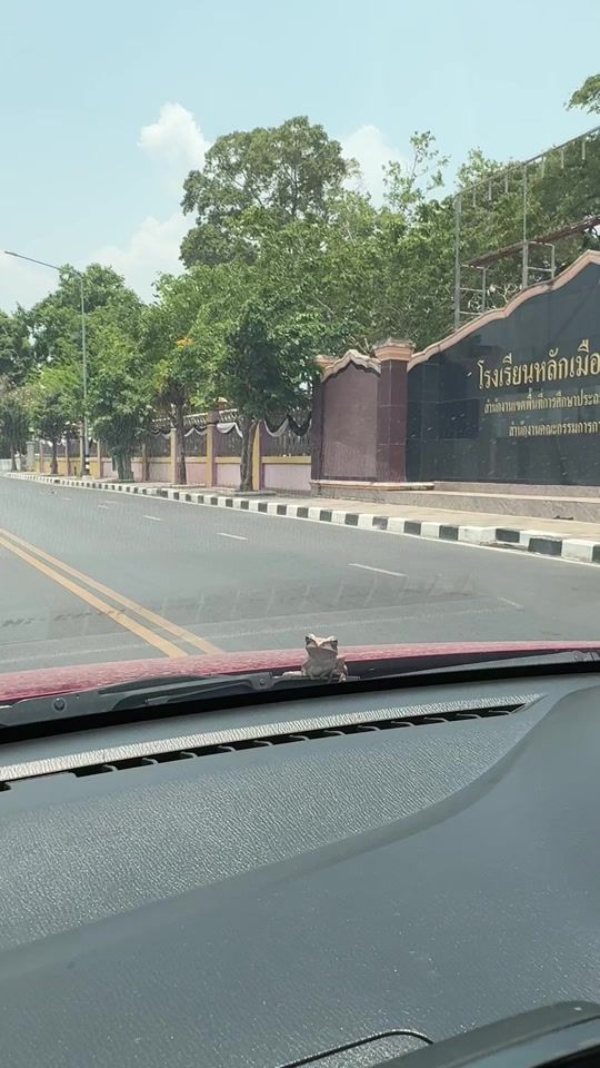 TikTok video thumbnail by kwan_funny