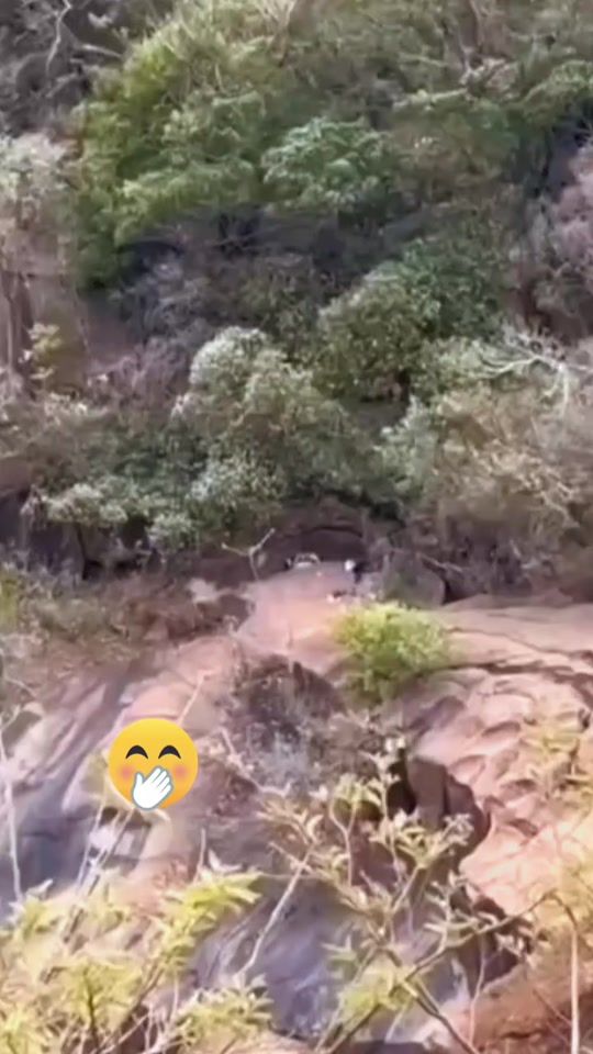TikTok video thumbnail by riosg0215