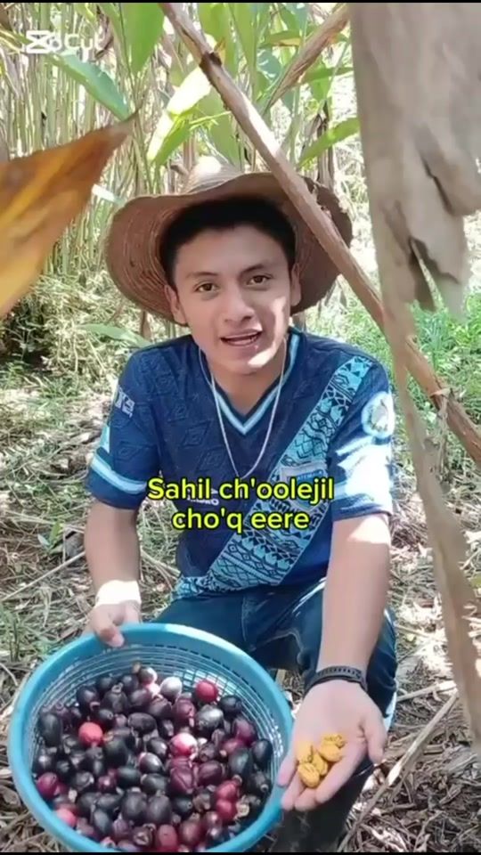 TikTok video thumbnail by franklinquib1