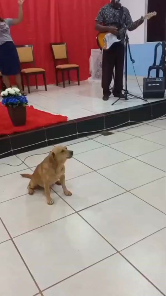 TikTok video thumbnail by zueirarrando
