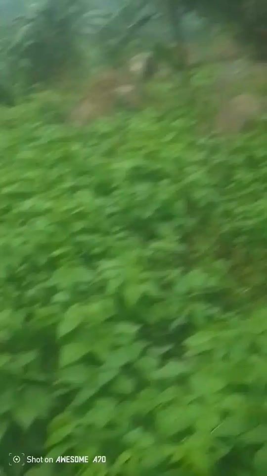 TikTok video thumbnail by crowie242