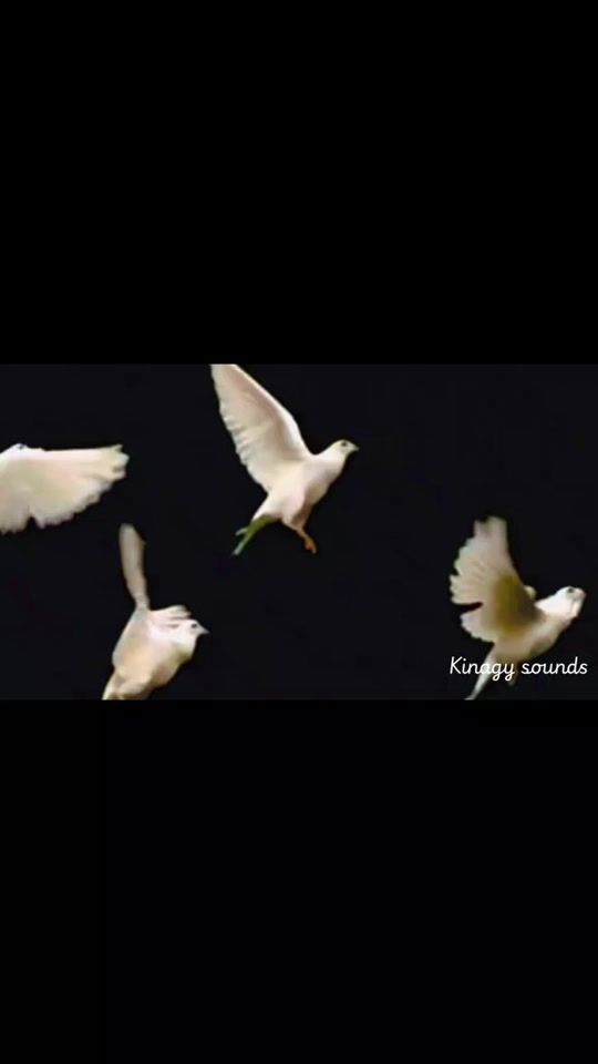TikTok video thumbnail by kinagytv