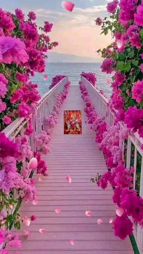 TikTok video thumbnail by reshmamaniram