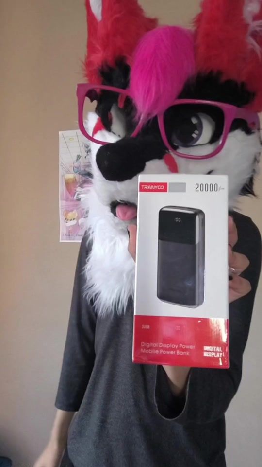 TikTok video thumbnail by cash_the_fox