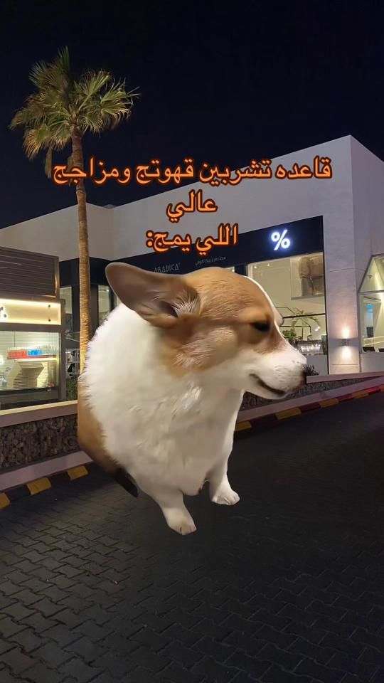 TikTok video thumbnail by adoolka_9