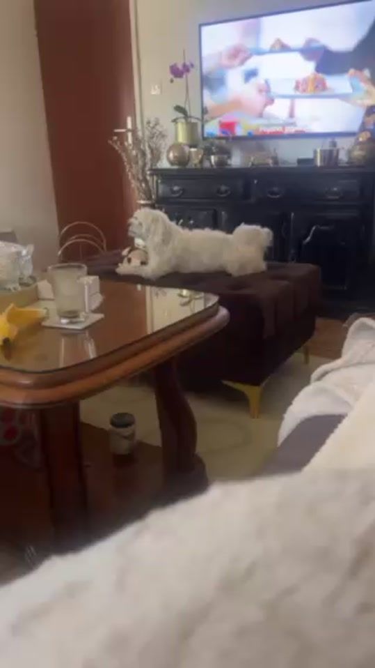 TikTok video thumbnail by nunaa_c