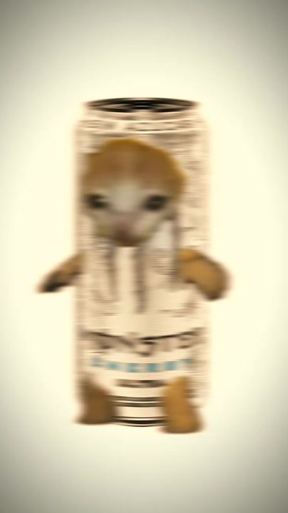 TikTok video thumbnail by michel.ramirez11