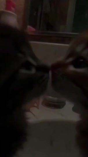 TikTok video thumbnail by my_song_1