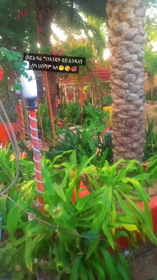 TikTok video thumbnail by mayet3175