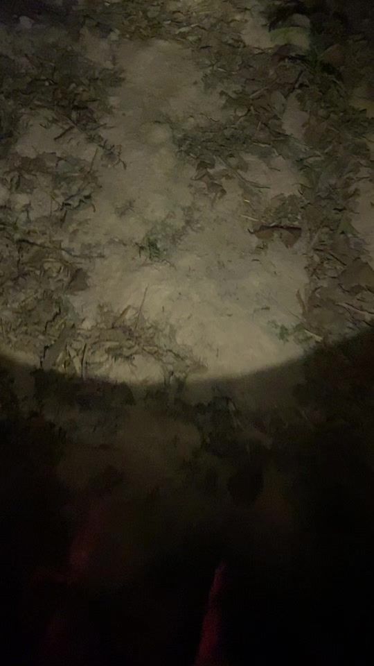 TikTok video thumbnail by userswi2jf7spa