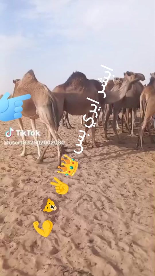 TikTok video thumbnail by user7143076987230