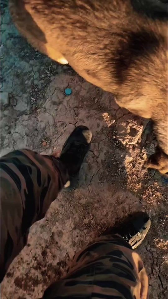 TikTok video thumbnail by gnw.25