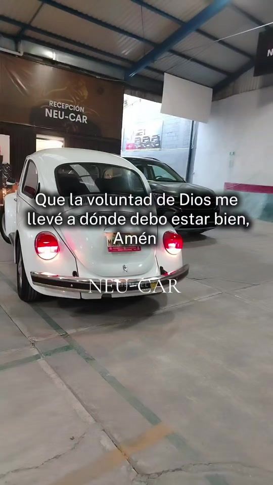 TikTok video thumbnail by neucar.agencia