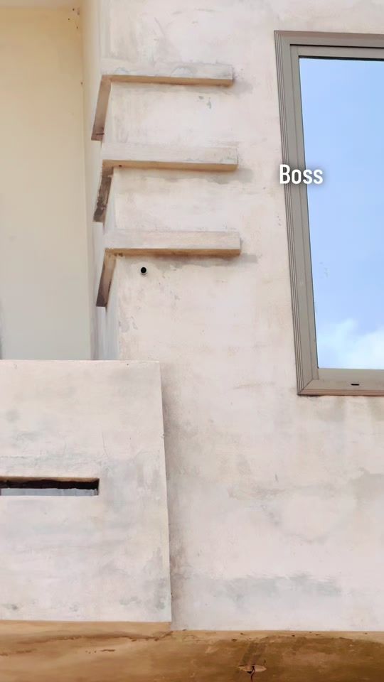 TikTok video thumbnail by chaudhariali786