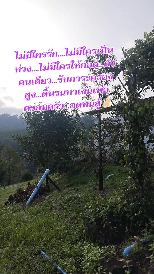 TikTok video thumbnail by user73665100