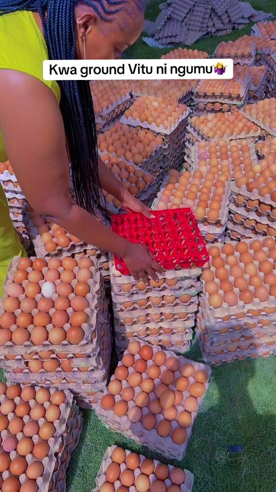 TikTok video thumbnail by freshyolkfarms